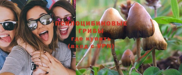 МДПВ Богданович